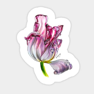 Tulip Sticker